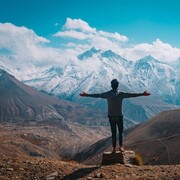 ���������� ���������, ���� ������� Fela, 33 ����, ������������ ��� ������, ����� � ���������, ���������