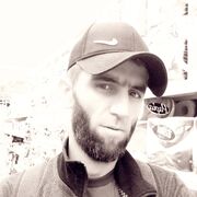  ,   Surbek, 49 ,   ,   