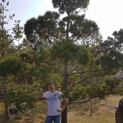 ,   Valerij, 37 ,   ,   , c 