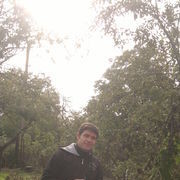  ,   Sheyh, 39 ,   ,   , c 