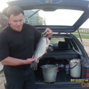  ,   Alex, 57 ,   
