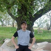 ���������� ���������, ���� ������� �����, 27 ���, ������������ ��� ������, ����� � ���������