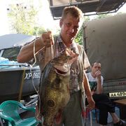 ���������� ���������, ���� ������� �������, 43 ����, ������������ ��� ������, ����� � ���������