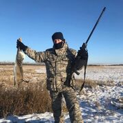 ���������� �����, ���� ������� �����, 41 ���, ������������ ��� ������, ����� � ���������