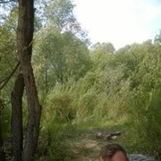 ���������� ������, ���� ������� ������, 50 ���, ������������ 