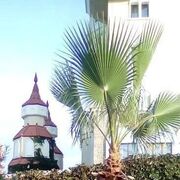  ,    , 49 ,   ,   , c , 