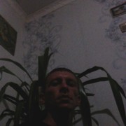  ,   , 38 ,     , c 