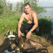  ,   , 51 ,   
