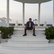  ,   Walbro, 31 ,   ,   