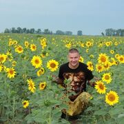 ���������� �����, ���� ������� �����, 38 ���, ������������ ��� ������, ����� � ���������, c�������� ���������