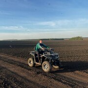 ���������� ������, ���� ������� Dmitry, 26 ���, ������������ ��� ������, ����� � ���������, c�������� ���������