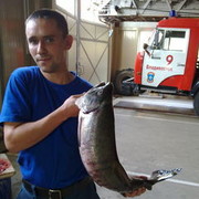 ���������� �����, ���� ������� German, 44 ����, ������������ ��� ������