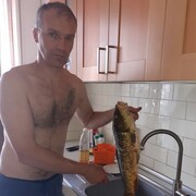  Liscate,   , 40 ,   ,   , c 