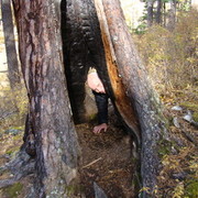 ���������� �������, ���� ������� ������, 56 ���, ������������ ��� ������, ����� � ���������, c�������� ���������