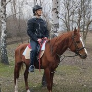  --,   , 29 ,   ,   
