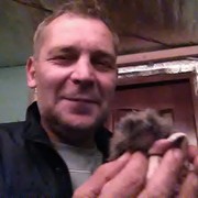  ,   , 59 ,     