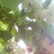 ���������� ����������, ���� ������� ����, 51 ���, ������������ ��� ������, ����� � ���������, c�������� ���������