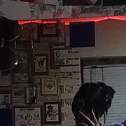  ,  , 18