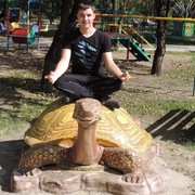  ,   , 29 ,  