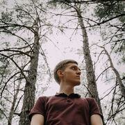 ���������� ���������, ���� ������� ������, 31 ���, ������������ ��� ������, ����� � ���������