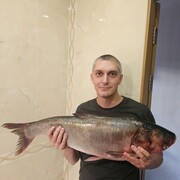  ,   , 43 ,   c 
