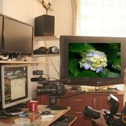  ,  baziliuk, 69