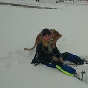 ���������� ������-��-����, ���� ������� ����, 37 ���, ������������ ��� ������, ����� � ���������, c�������� ���������, ���������