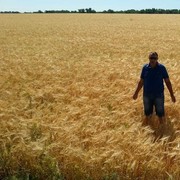 ���������� ���������, ���� ������� �������, 40 ���, ������������ ��� ������, ����� � ���������, c�������� ���������