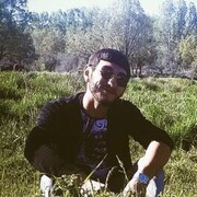  ,   , 29 ,     , c 