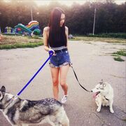 ���������� ������, ���� ������� �����, 28 ���, ������������ ��� ������, ����� � ���������, c�������� ���������, ���������