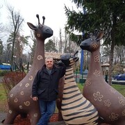  ,   , 52 ,   ,   