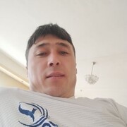 ���������� ���������, ���� ������� ������, 41 ���, ������������ ��� ����� � ���������