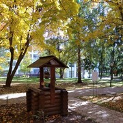 ���������� ���, ���� ������� �����, 55 ���, ������������ ��� ������, ����� � ���������, c�������� ���������