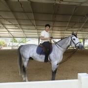  ,   , 36 ,   ,   , c 