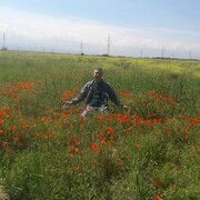  ,    , 57 ,     , c 