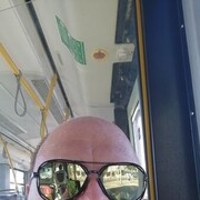 ���������� �����, ���� ������� ������, 49 ���, ������������ ��� ������, ����� � ���������, c�������� ���������