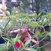  ,   , 64 ,   
