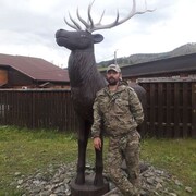  ,   , 38 ,   ,   