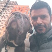  ,   Sayed, 42 ,   ,   , c , 