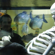 ���������� ������, ���� ������� Igoriok, 44 ����, ������������ ��� ������, ����� � ���������, c�������� ���������, ���������