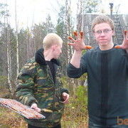 ���������� ������������, ���� ������� ������, 36 ���, ������������ ��� ������, ����� � ���������, c�������� ���������, ���������