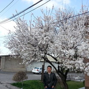  ,   , 48 ,   ,   , c 
