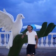 ���������� ���������, ���� ������� �����, 43 ����, ������������ ��� ������, ����� � ���������