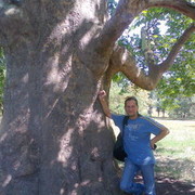 ���������� ������, ���� ������� �����, 55 ���, ������������ ��� ������