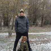 ���������� ��������, ���� ������� �������, 41 ���, ������������ ��� ������, ����� � ���������