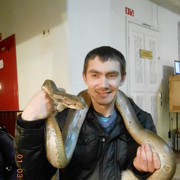  ,   , 38 ,   