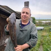  ,   , 56 ,   ,   