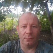  ,   , 41 ,   c 