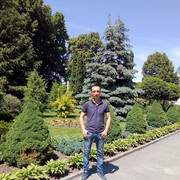  ,   , 41 ,  