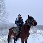 ���������� ������������, ���� ������� ����������, 41 ���, ������������ ��� ������, ����� � ���������, c�������� ���������, ���������